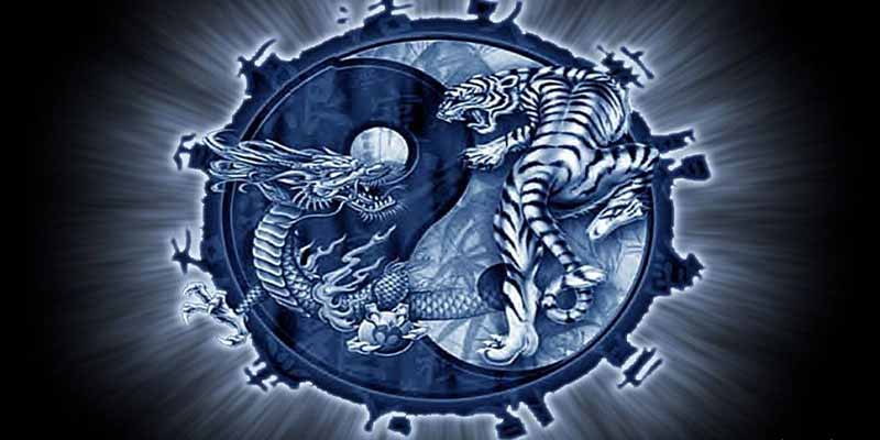 Chiến thuật chơi rồng hổ